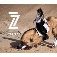 Z7 Show Horses logo - Similar company to Trident Trackway