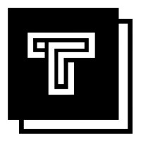 TerraMinds logo - Similar company to Vertex Technology