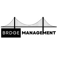 BRDGE Management LLC logo - Similar company to Aspen Auto Spa