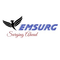 Emsurg Healthcare (India) Pvt. Ltd logo - Similar company to Artsty