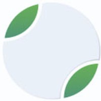 Belitsoft Software Development Company logo - Similar company to Z-Wolves Development