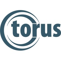 Torus logo - Similar company to T