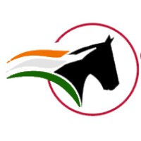 Equine Saddle World logo - Similar company to Guts And Glory