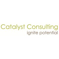 Catalyst Consulting HK Limited logo - Similar company to Riskminer Gmbh