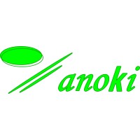 Anoki de México logo - Similar company to B2B Wireless