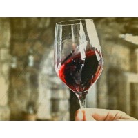 Daniko International Fine Wines logo - Similar company to Winokąt