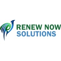 RENEW NOW SOLUTIONS INDIA PRIVATE LIMITED logo - Similar company to Dns Gaming