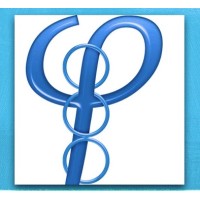 Physis at logo - Similar company to Devond - Development On Demand