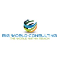 Big World Consulting