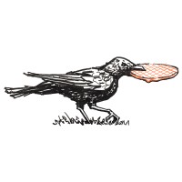Rachelle Meyer, Illustrator & Cartoonist logo - Similar company to Swag Swami