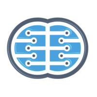 DigiBrain logo - Similar company to Digibrain Infomarion Technology