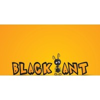 Black Ant logo - Similar company to Blackant