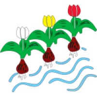 Pronk Tulpen B.V. logo - Similar company to Dralco B.V.