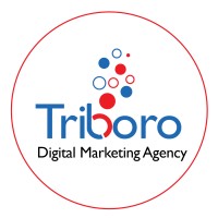 Triboro Solutions logo - Similar company to D'Code