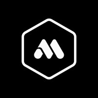 Meta Line Digital Agency logo - Similar company to Paradigma System