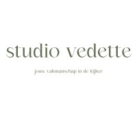 studio vedette logo - Similar company to Agence Demanet
