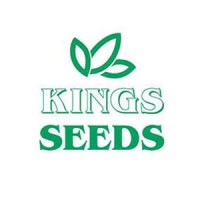 Kings Seeds logo - Similar company to Kontax Engineering Limited