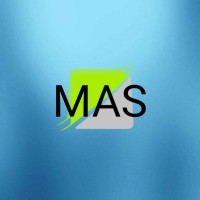 Mashele Accounting Solutions logo - Similar company to Cnbs Accounting Officers