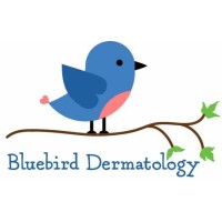 Bluebird Dermatology logo - Similar company to Spring Dermatology