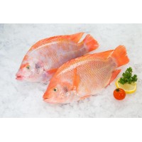 Lachance Group - Aquaculture Nutrition and Feed logo - Similar company to Arshine Lifescience