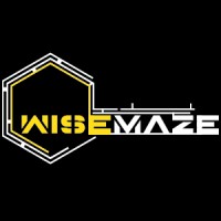Wise Maze logo - Similar company to Adhook Media