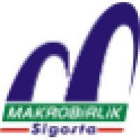 MakroBirlik Uluslararası Sigorta Aracılık Hizmetleri logo - Similar company to Devletdesteklialacaksigortasi.Com