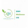 Eyabu Nutrition Hub (ENH) logo - Similar company to Dr. Kasenene