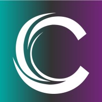 Cyfendry logo - Similar company to Diamond Logics Llc