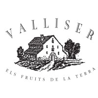 Valliser_1999 logo - Similar company to Servicios Integrales Diaz-Leal