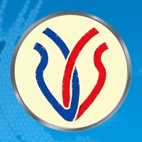 Instituto de Cardiologia e Transplantes do Distrito Federal logo - Similar company to B2Br