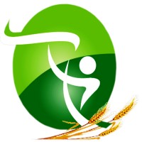 Mascara University (Mustapha Stambouli) Algeria logo - Similar company to Gdg Mascara