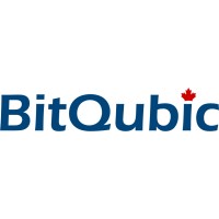 BitQubic logo - Similar company to Broadview Software