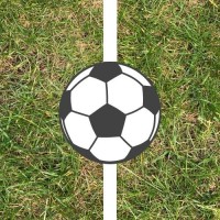 That Surely Crossed The Line Podcast logo - Similar company to Zaro