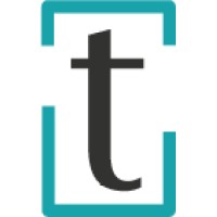 thirtyone3 technology logo - Similar company to Merino Computer Concepts