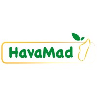 HavaMad logo - Similar company to Computek Technology Madagascar