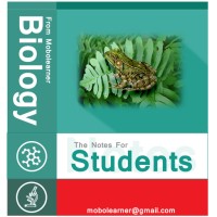 Biologylearner.Com