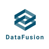 DataFusion Insights logo - Similar company to Startech Bt Bilgi Sistemleri