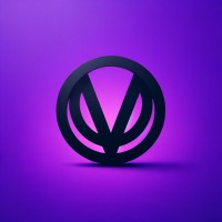 Vision Byte logo - Similar company to Skillupit