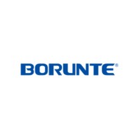 BorunteRobots logo - Similar company to Ryd Industrial Automation
