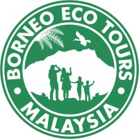 Borneo Eco Tours logo - Similar company to Blissful Studios