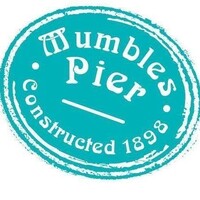 Mumbles Pier logo - Similar company to Oriel Science