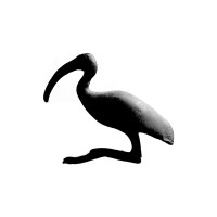 IPsheh logo - Similar company to Raheabrisham