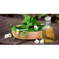 The Medicinal Herb Company logo - Similar company to V&B Leadership Consulting