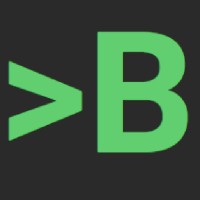 Biizii logo - Similar company to Wesstron- Fetura Cloud