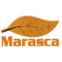 Tabacos Marasca logo - Similar company to Compumate