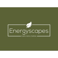 Energyscapes