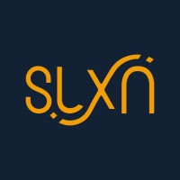 Selexion logo - Similar company to Techno Traffic Control