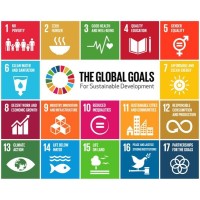 ICCOUNCIL logo - Similar company to Guyana Chronicle