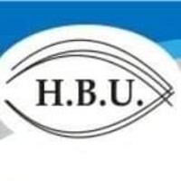 H.B.U. OE logo - Similar company to 'Startupinsureleaders'