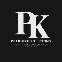 PeakHire Solutions logo - Similar company to Peak-Hire